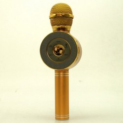 Бездротовий портативний мікрофон-колонка Wster WS-668
